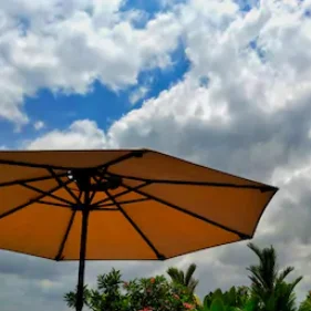 garden umbrellas Kenya