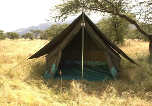 safari family tent scaled