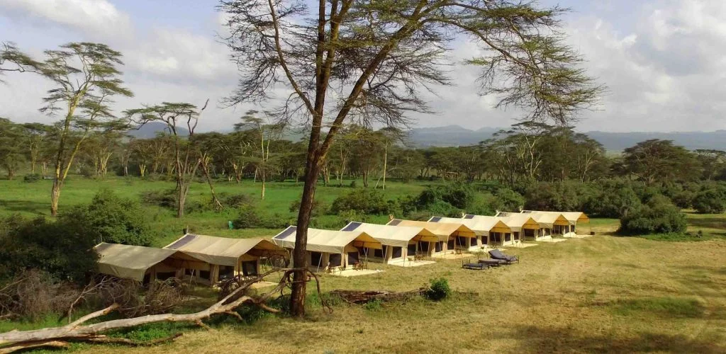 tented camp by tarpo industries